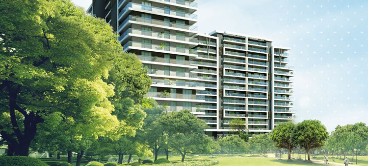 Project image 15