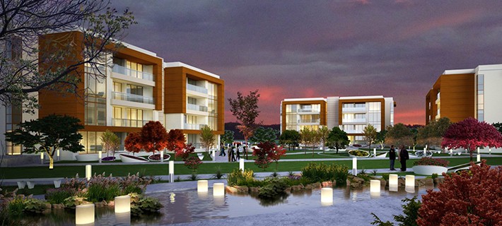 Project image 20