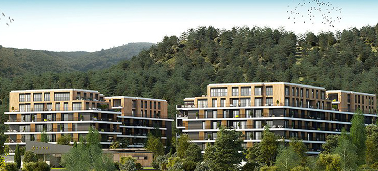 Project image 15