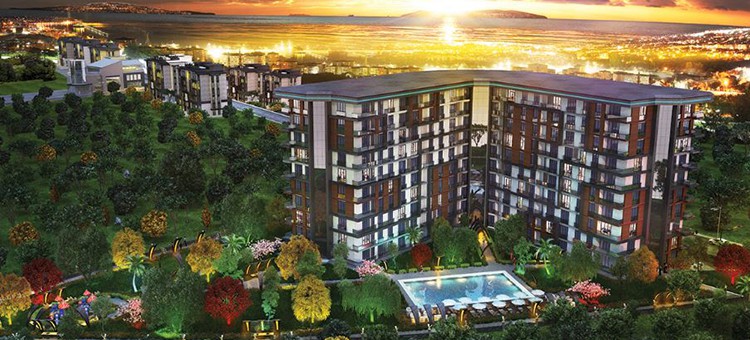 Project image 10