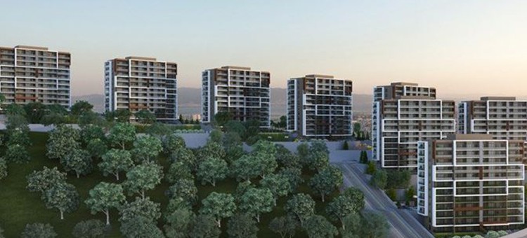 Project image 12