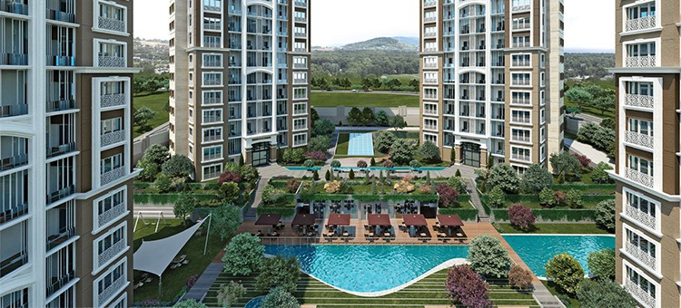 Project image 16