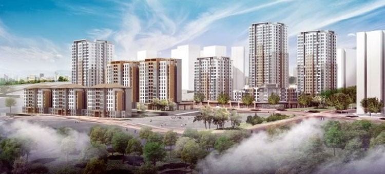 Project image 14