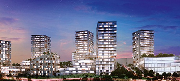 Project image 13