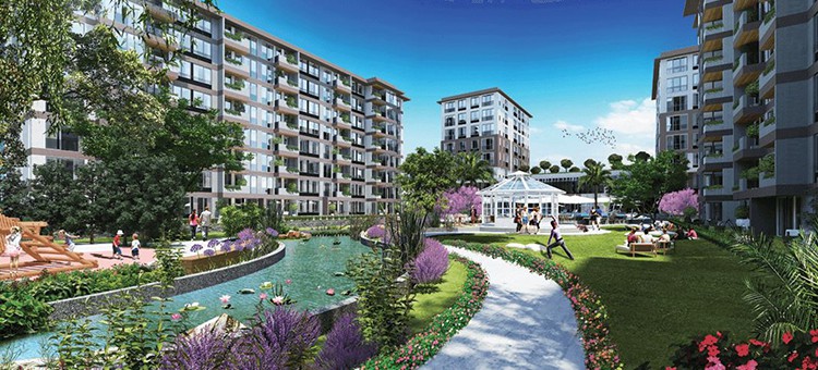Project image 9
