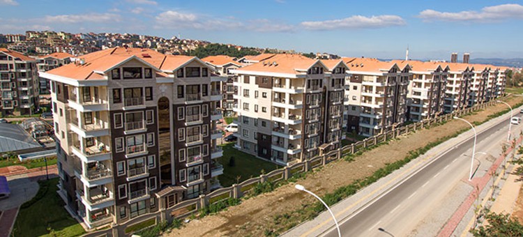 Project image 10
