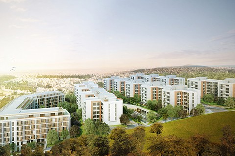 G Marin Managed by Divan