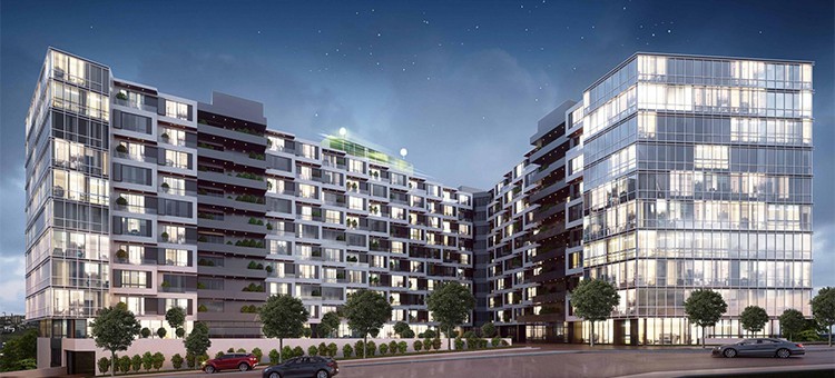 Project image 15