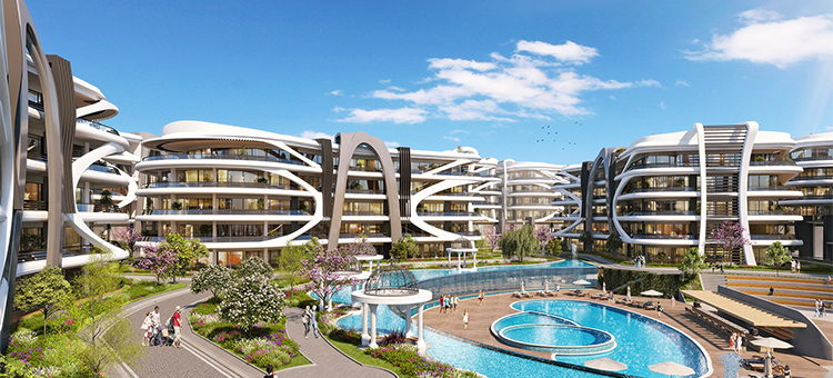Project image 13