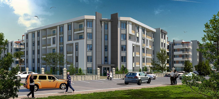 Project image 19
