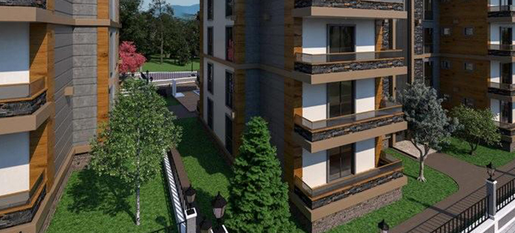 Project image 13