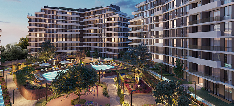 Project image 15