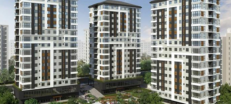 Project image 9