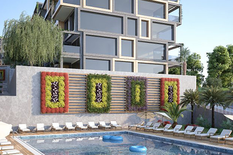 Metropolitan Palm Town