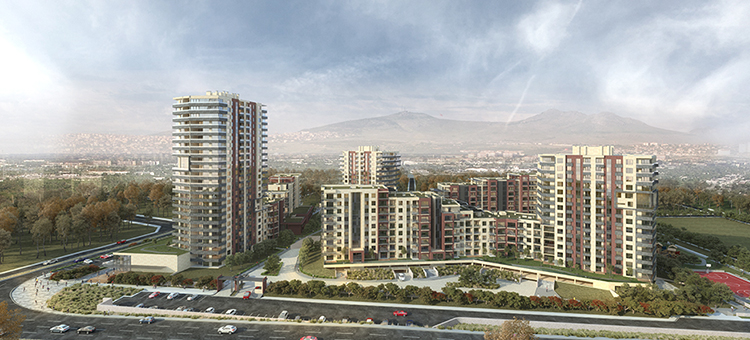 Project image 13