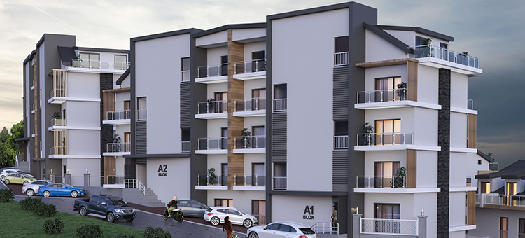 Project image 15