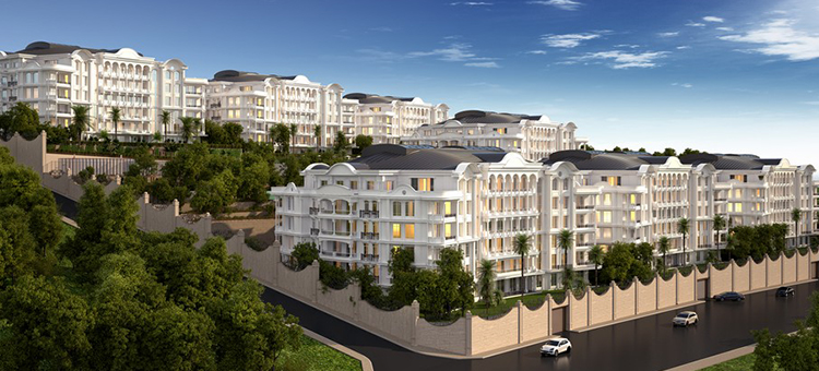 Project image 15