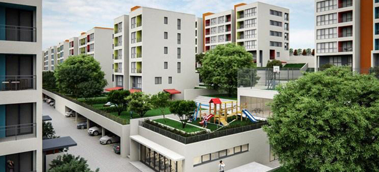 Project image 9