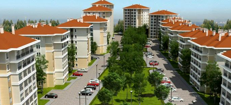 Project image 17