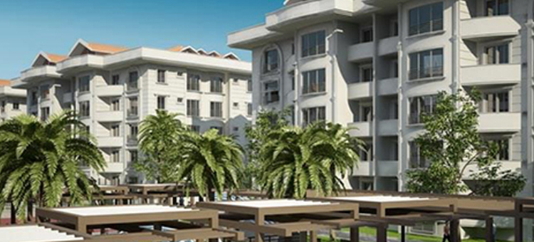 Project image 13