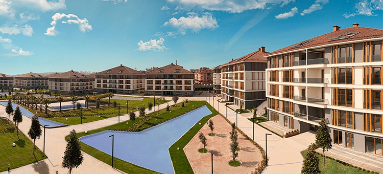 Project image 18