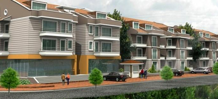 Project image 13