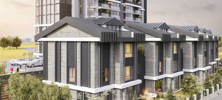 Project image 19