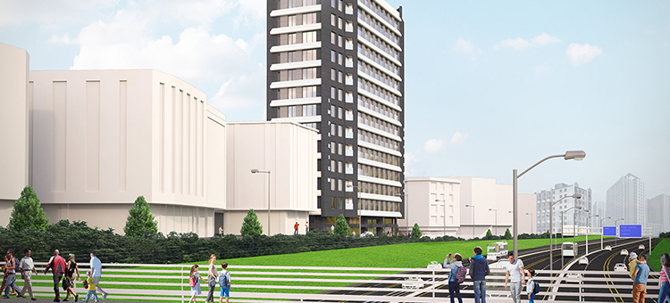Project image 11