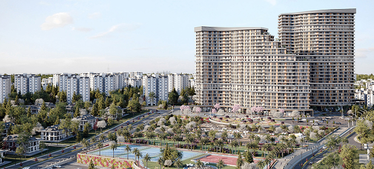 Project image 19