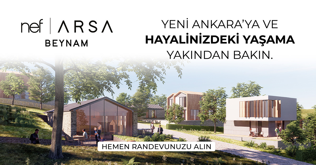Project image 9