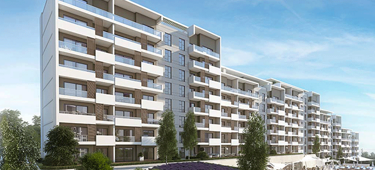 Project image 14