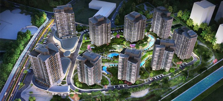 Project image 24