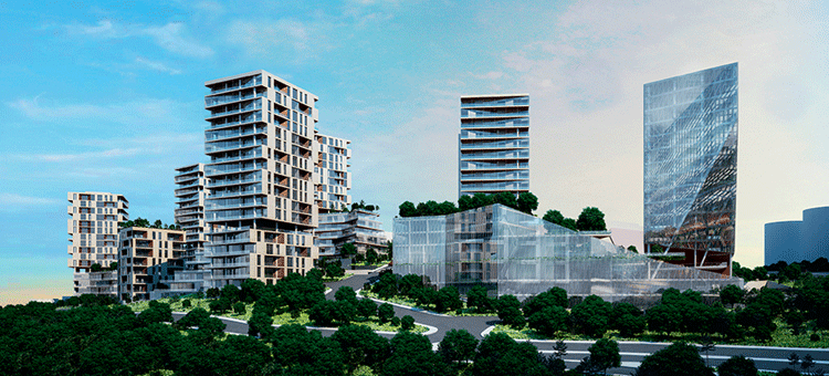 Project image 11