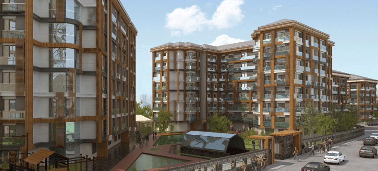 Project image 10