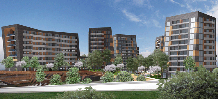 Project image 11