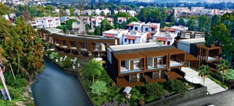 Project image 11