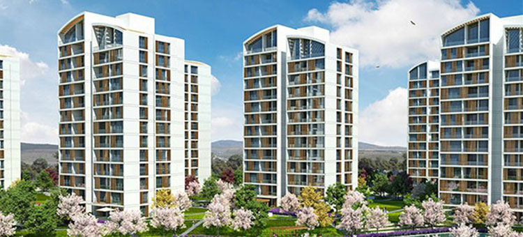 Project image 16