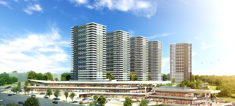 Project image 9