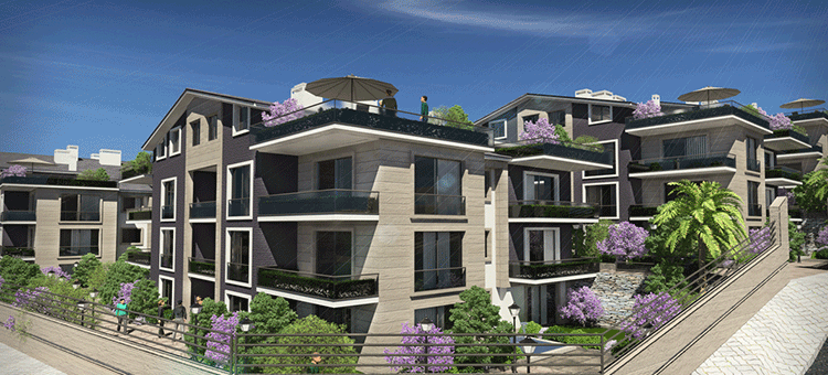 Project image 9
