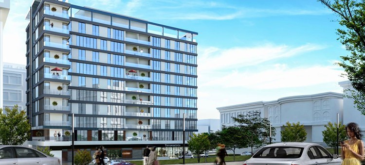 Project image 9