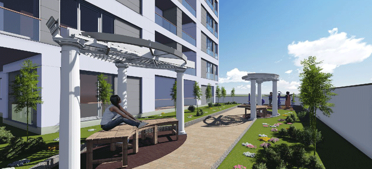 Project image 11