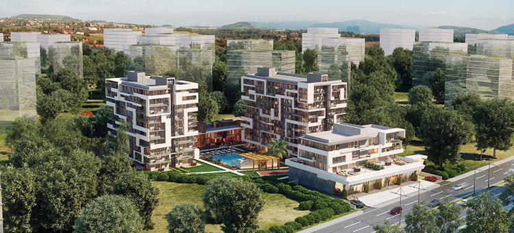 Project image 16