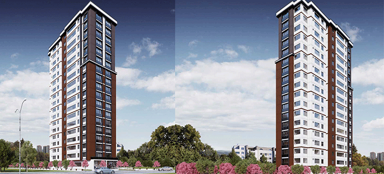 Project image 11