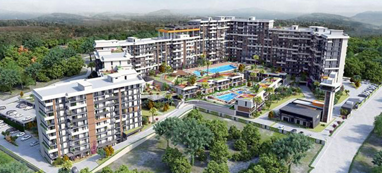 Project image 10