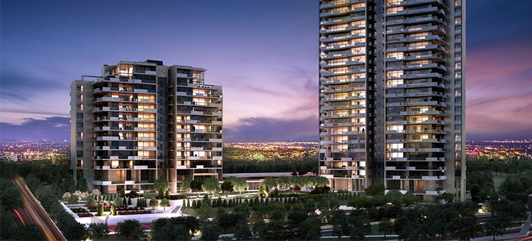 Project image 19
