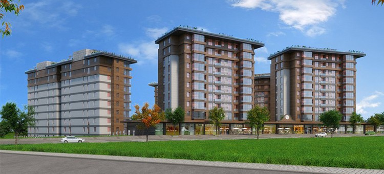 Project image 16