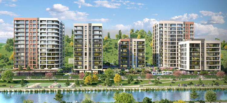 Project image 12