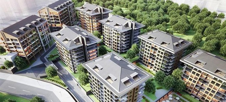 Project image 11
