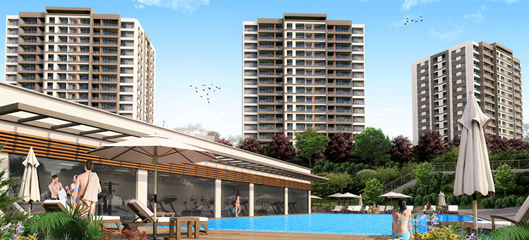 Project image 11