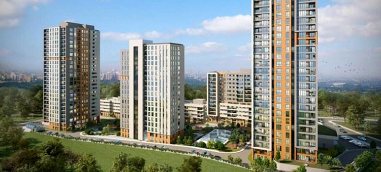 Project image 11